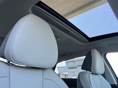 New 2025 Hyundai Elantra Limited image 14