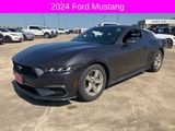 Used 2024 Ford Mustang Coupe image 3