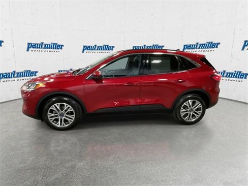 Used 2020 Ford Escape SEL image 6