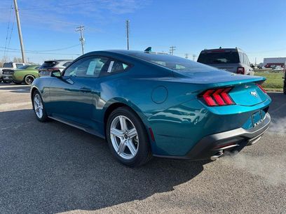 New 2026 Ford Mustang EcoBoost Fastback
