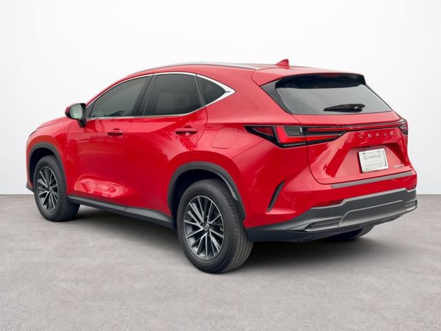 Used 2025 Lexus NX 250 FWD w/ Accessory Package (K3) image 3