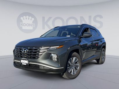 Used 2022 Hyundai Tucson Blue w/ Cargo Package