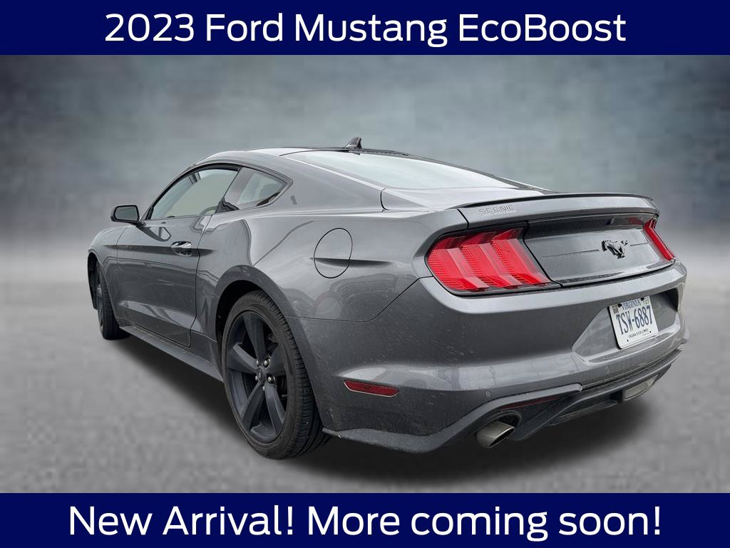Used 2023 Ford Mustang Coupe w/ Equipment Group 101A RWD image 3