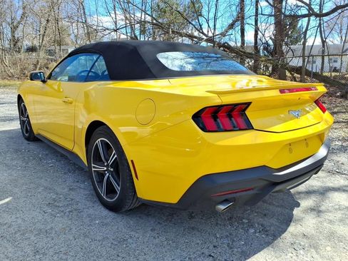 Used 2024 Ford Mustang Premium image 7