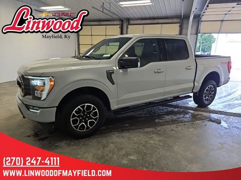 Used 2023 Ford F150 XLT w/ Equipment Group 302A High AWD/4WD image 5
