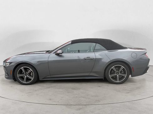 Used 2024 Ford Mustang Premium RWD image 6