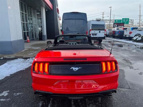 Used 2022 Ford Mustang Premium image 14