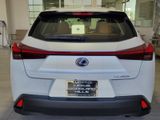 Used 2021 Lexus UX 250h image 4