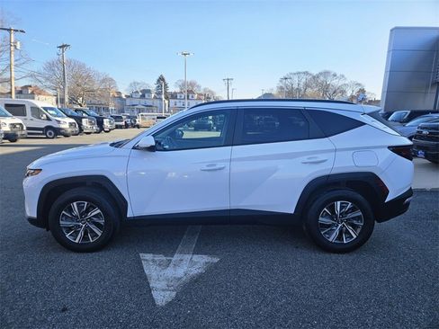 Used 2024 Hyundai Tucson Blue image 2