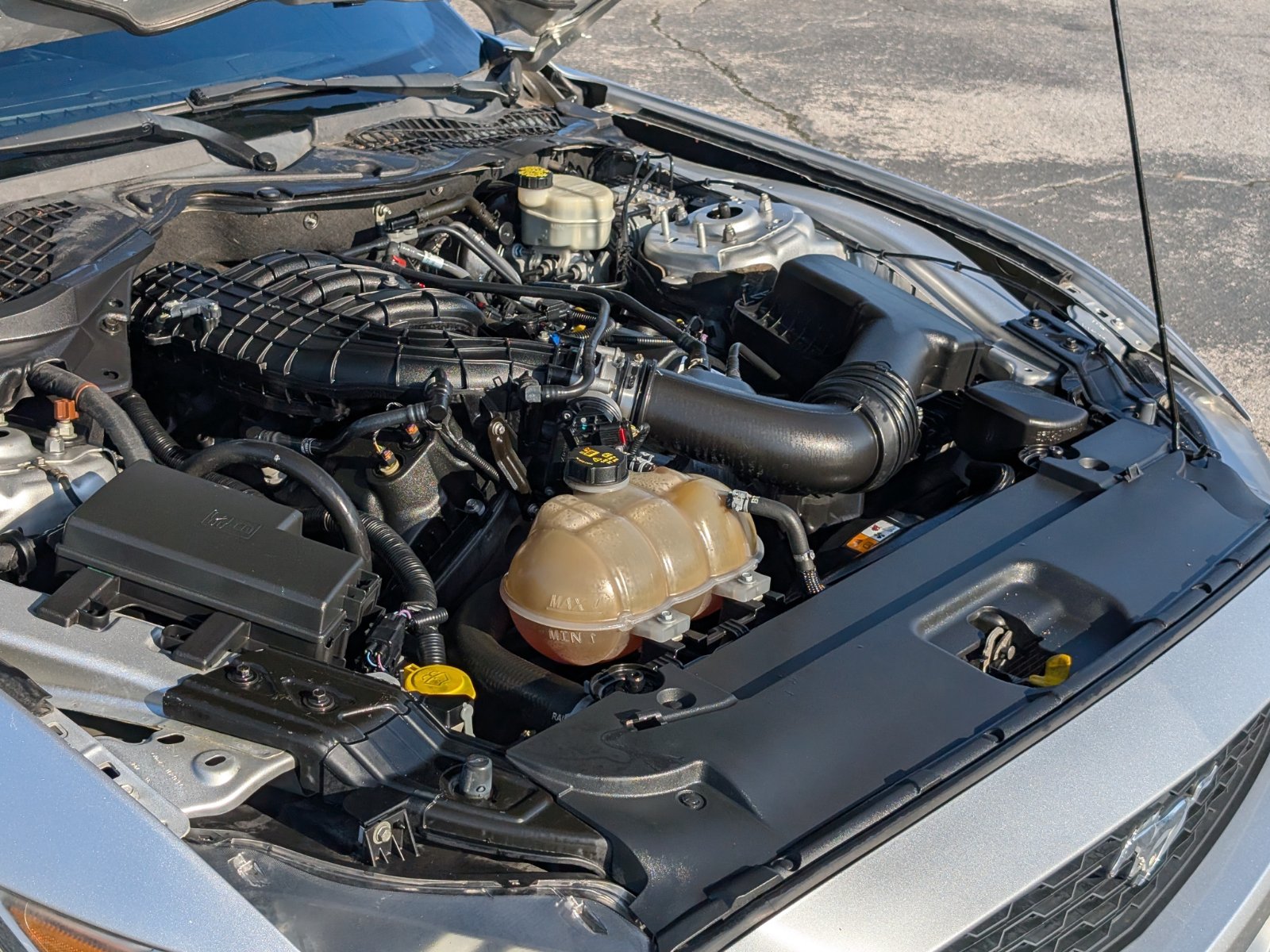 Used 2016 Ford Mustang Coupe RWD image 20
