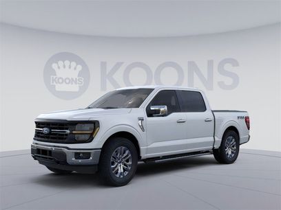New 2024 Ford F150 XLT w/ Equipment Group 302A MID