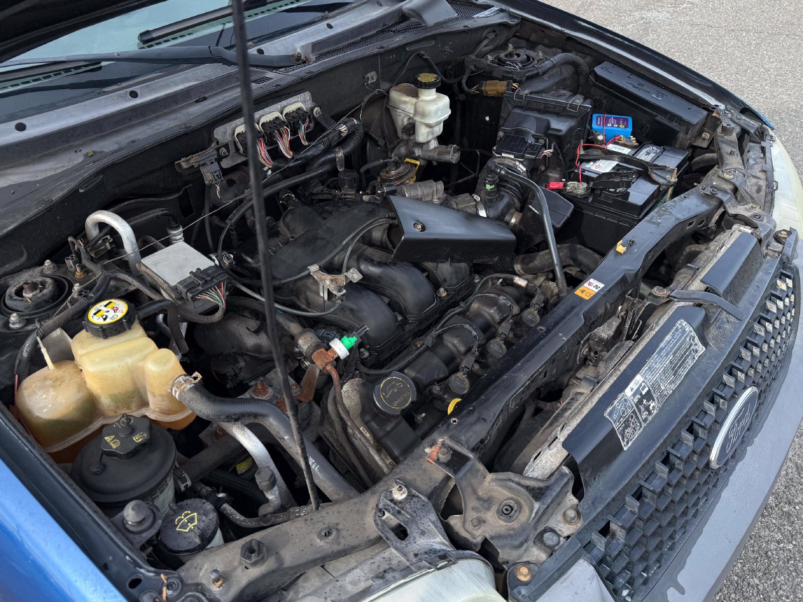 Used 2007 Ford Escape XLT AWD/4WD image 37