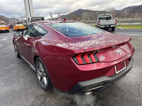 New 2026 Ford Mustang Coupe image 6