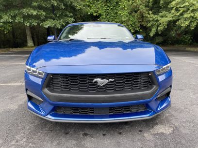 Used 2024 Ford Mustang Premium