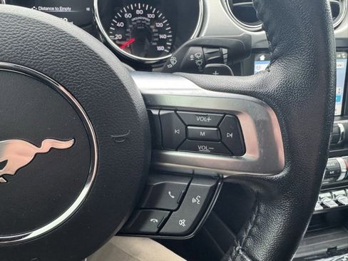 Used 2017 Ford Mustang GT Premium w/ Equipment Group 401A image 15