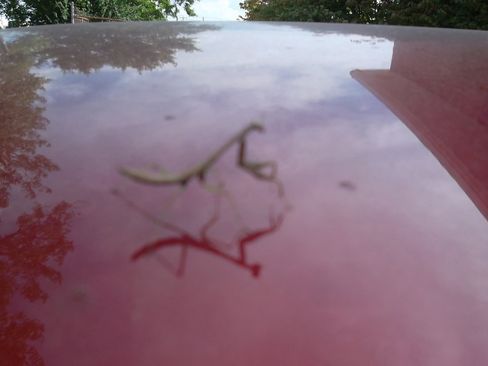 Used 2025 Nissan Versa SV image 6