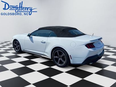 Used 2024 Ford Mustang Premium