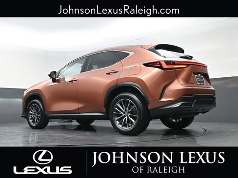 Certified 2025 Lexus NX 350h AWD w/ Cold Area Package image 18
