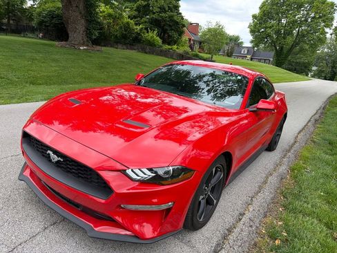 Used 2022 Ford Mustang Coupe RWD image 11