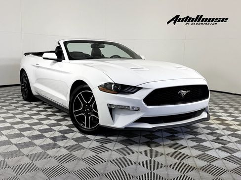 Used 2020 Ford Mustang Premium RWD image 1