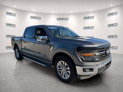 Used 2024 Ford F150 XLT w/ Equipment Group 302A MID