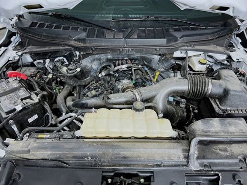 Used 2025 Ford F150 XLT w/ Equipment Group 301A Standard image 27