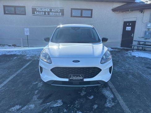 Used 2020 Ford Escape SE Sport image 8