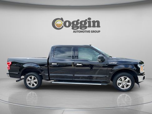 Used 2019 Ford F150 XLT w/ Equipment Group 302A Luxury image 6