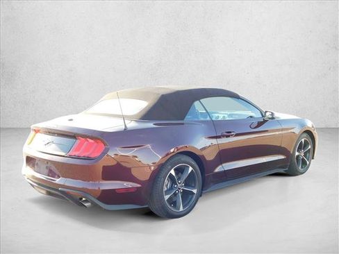 Used 2018 Ford Mustang Convertible w/ Equipment Group 101A RWD image 5
