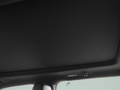 Used 2025 Ford F350 Platinum image 9