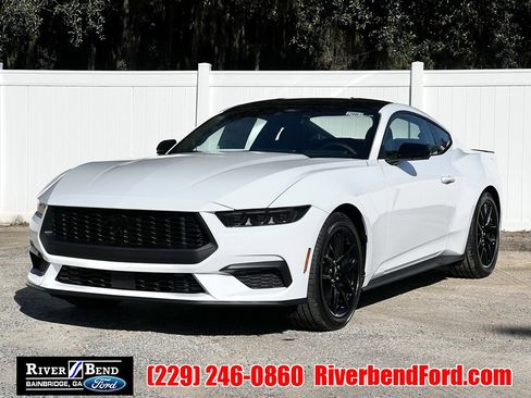 New 2026 Ford Mustang EcoBoost w/ Mustang Nite Pony Package image 1