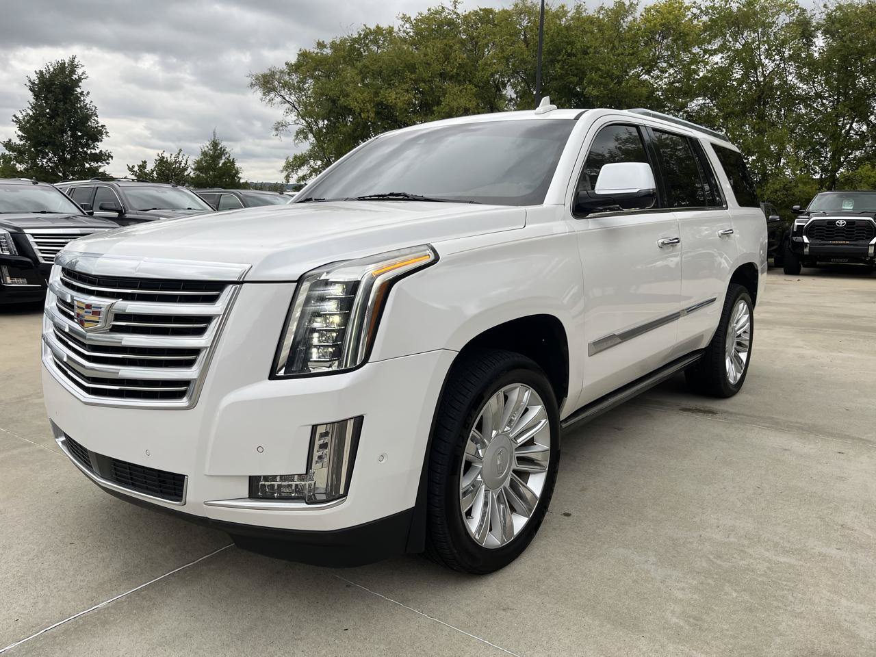 Used 2019 Cadillac Escalade Platinum AWD/4WD image 1