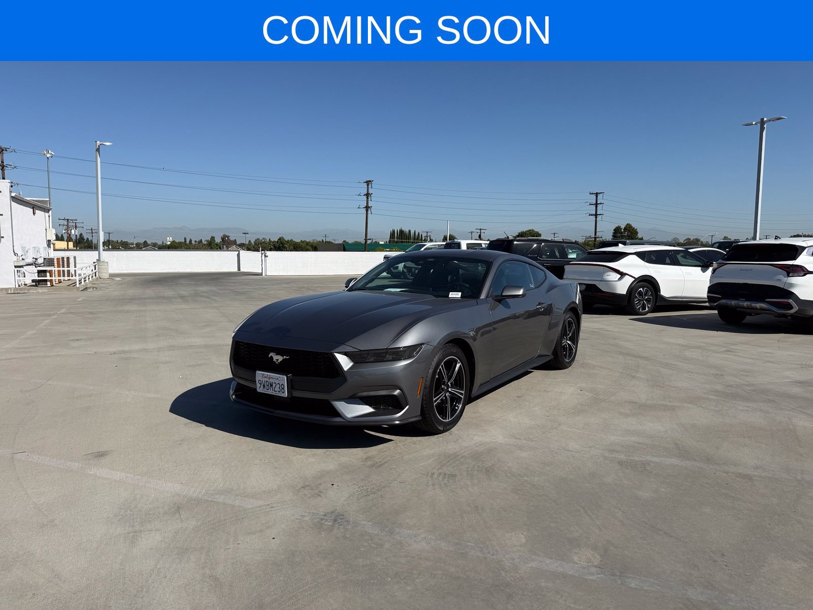 Used 2025 Ford Mustang Coupe RWD image 1