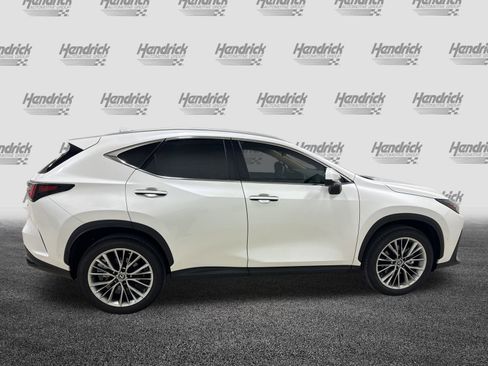 Used 2025 Lexus NX 350 AWD w/ Luxury Package image 11