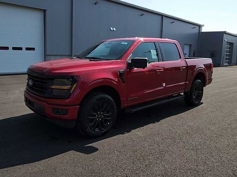 New 2025 Ford F150 XLT w/ Equipment Group 302A MID image 4