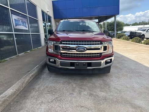 Used 2019 Ford F150 XLT w/ Equipment Group 302A Luxury image 3