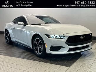 Used 2024 Ford Mustang Premium RWD video 1