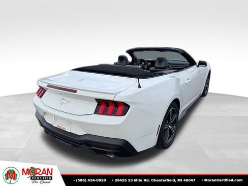 Used 2024 Ford Mustang Premium RWD image 6