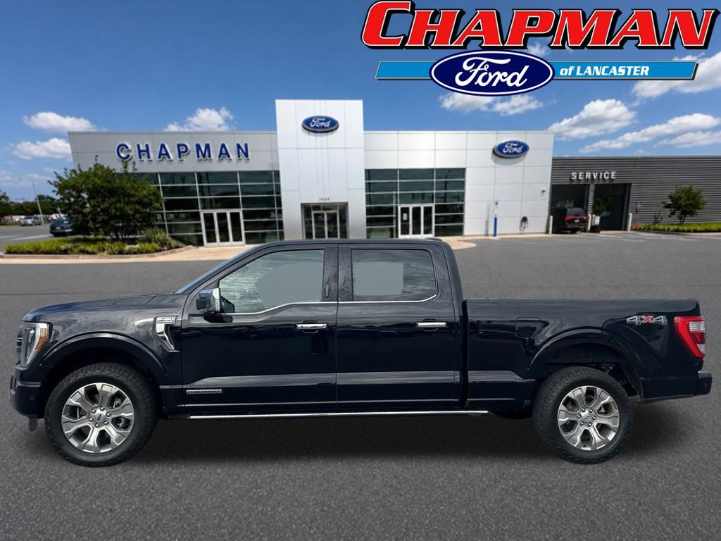 Certified 2023 Ford F150 Platinum w/ Equipment Group 701A High AWD/4WD image 3