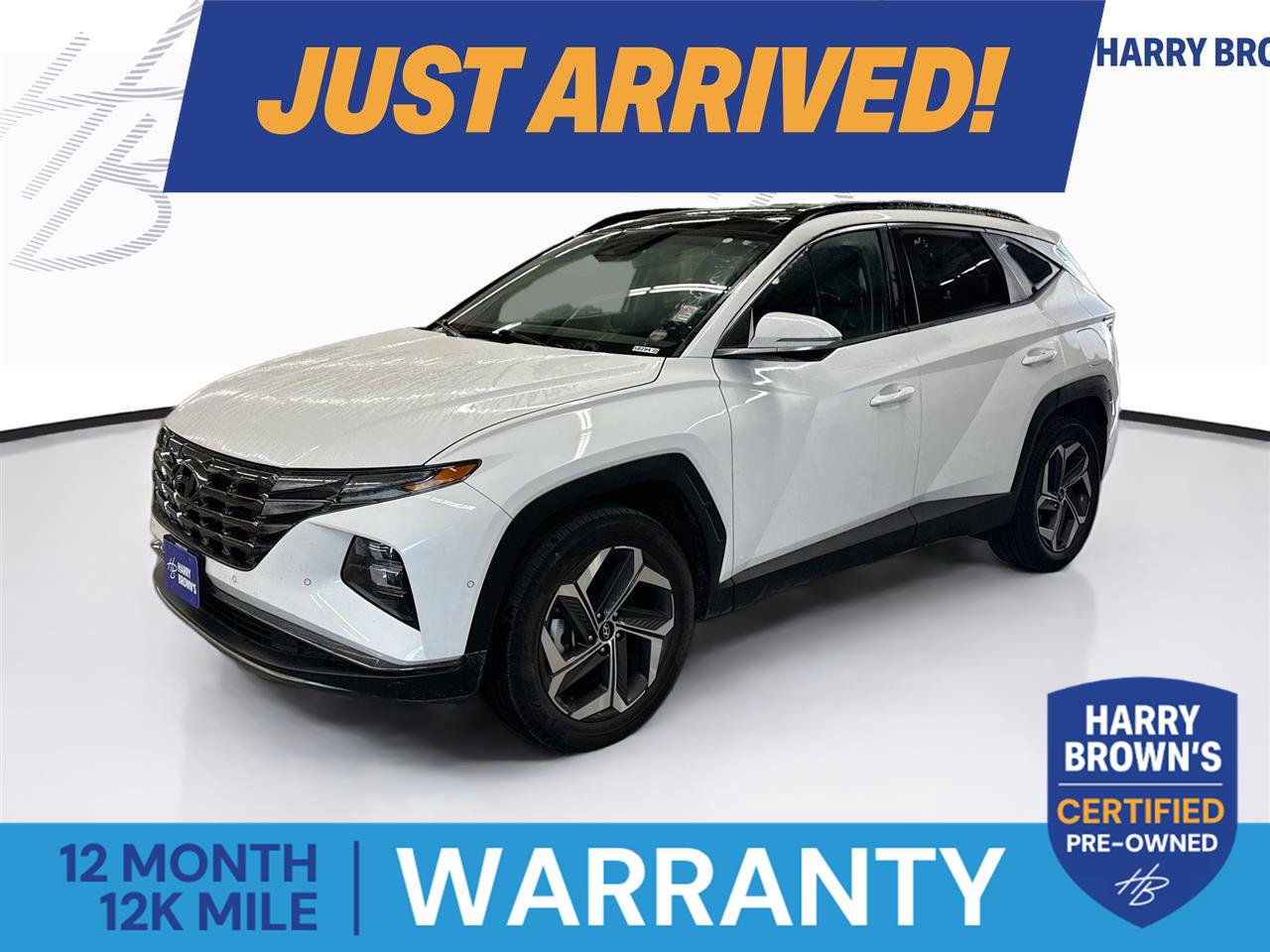 Used 2024 Hyundai Tucson Limited AWD/4WD image 1