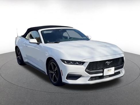 Used 2024 Ford Mustang Premium image 2