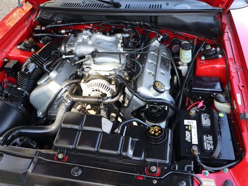Used 1999 Ford Mustang Cobra image 34