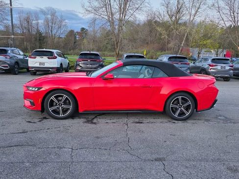 Used 2024 Ford Mustang Premium RWD image 5