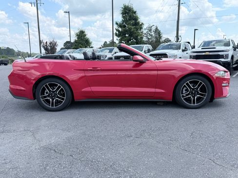 Used 2019 Ford Mustang Premium RWD image 4