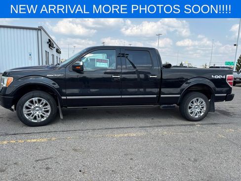 Used 2010 Ford F150 Platinum AWD/4WD image 5