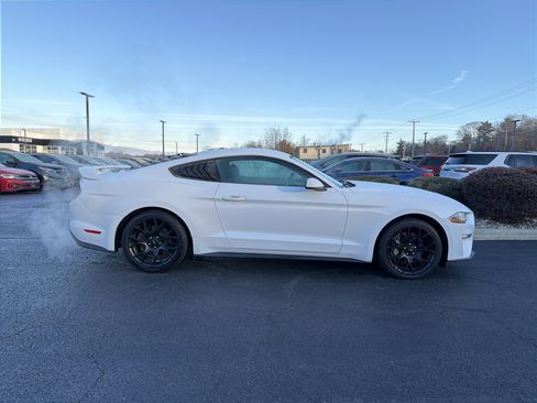 Used 2019 Ford Mustang EcoBoost w/ Ecoboost Performance Package image 4