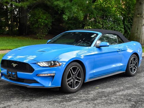 Used 2022 Ford Mustang Premium RWD image 2