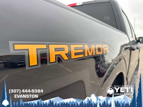 Used 2023 Ford F150 Tremor image 12