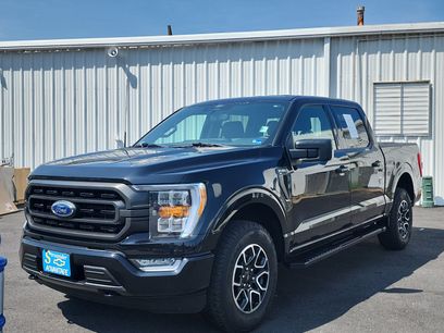 Used 2022 Ford F150 XLT w/ Equipment Group 302A High