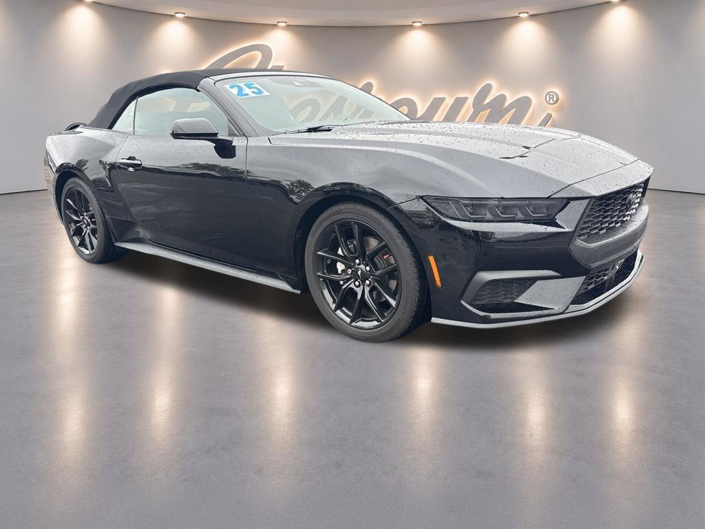 Used 2025 Ford Mustang Convertible w/ Mustang Nite Pony Package RWD image 7